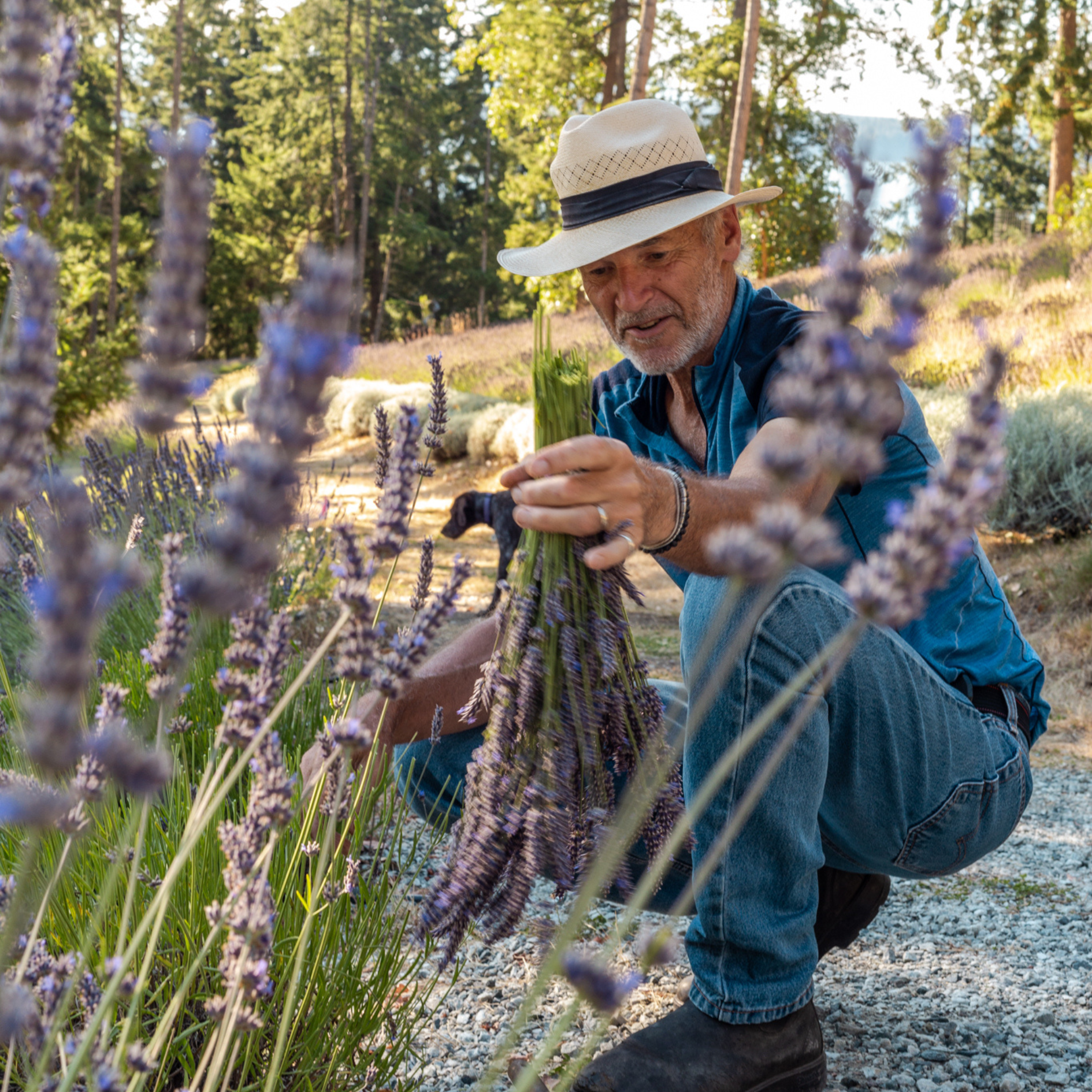 Island Grown Botanicals