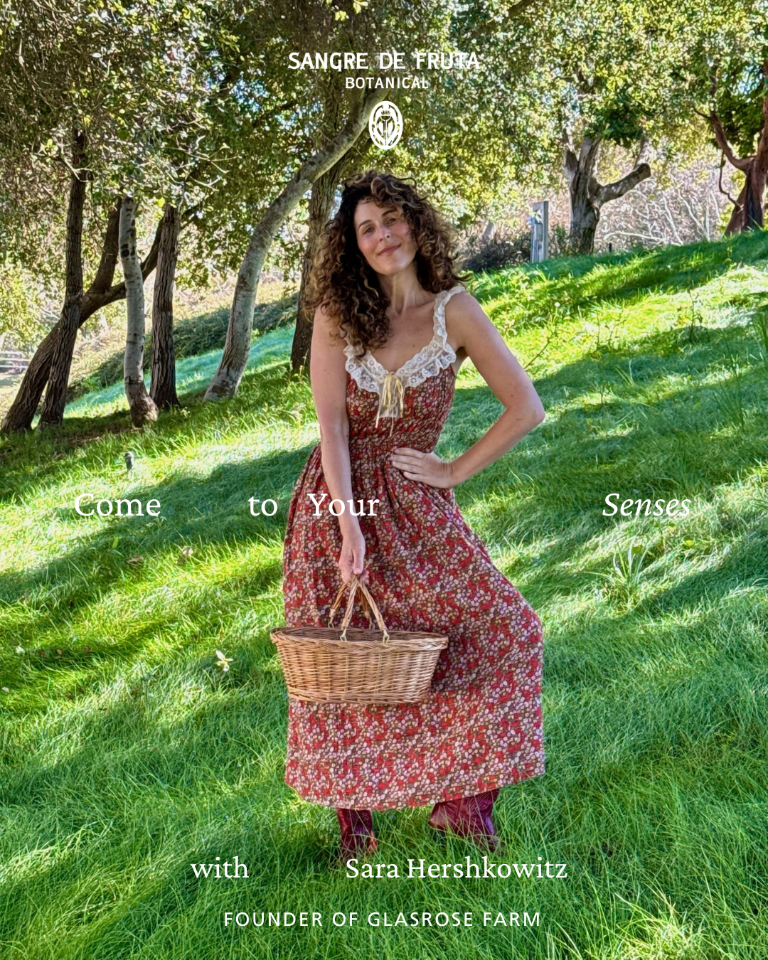 Come to Your Senses with Sara Hershkowitz