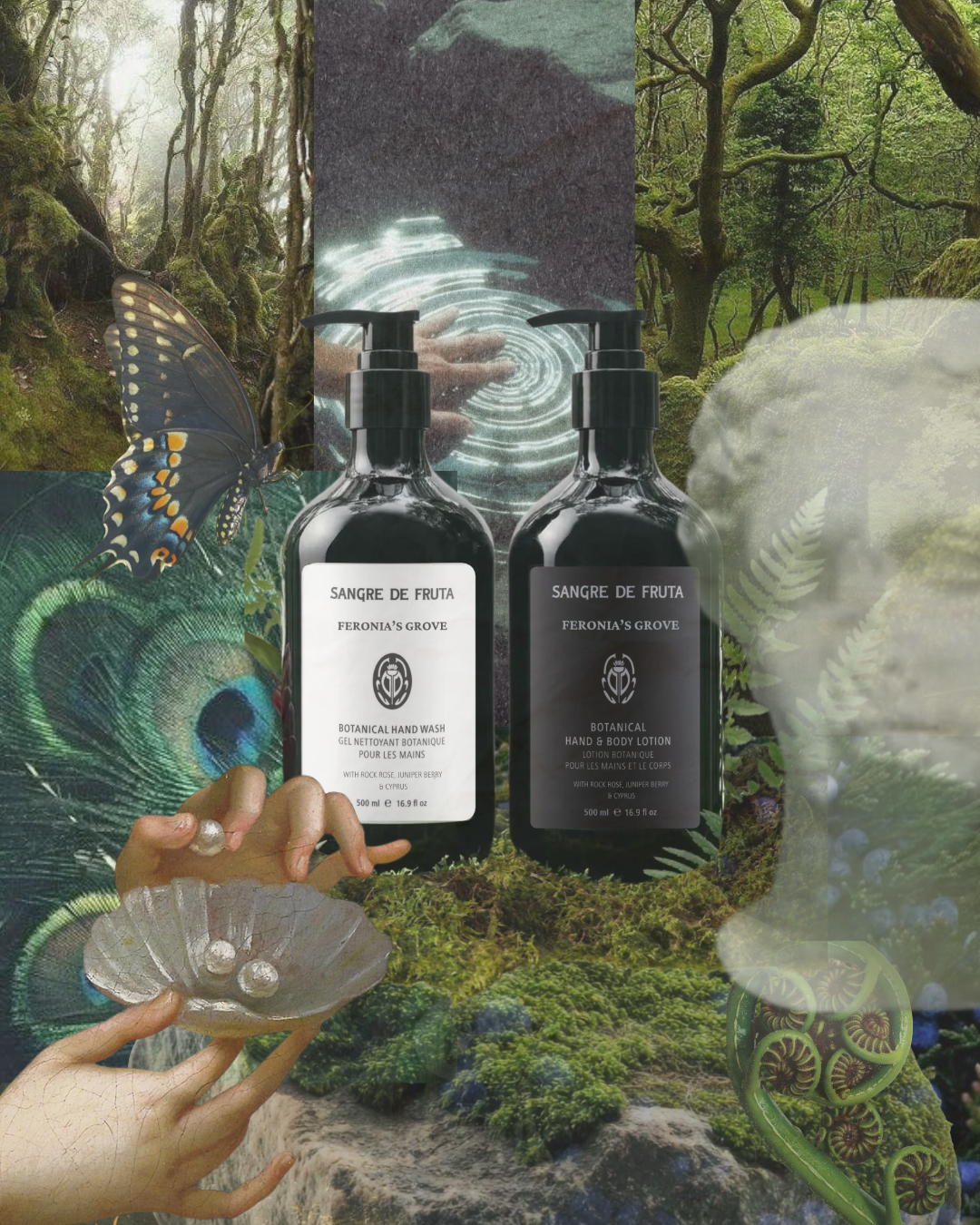 [NEW] Botanical Hand Wash | Feronia's Grove