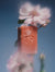 Botanical Bar Soap | Head of Roses